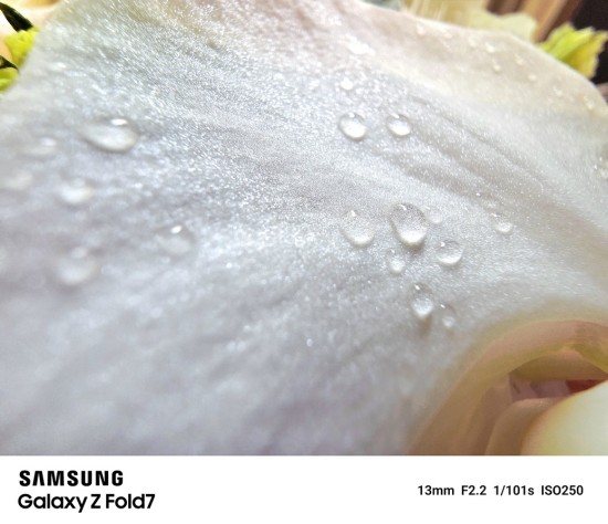 折叠视角看创新之都 三星Galaxy Z系列影像沙龙在深圳举办