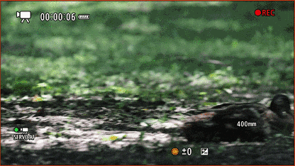 更顺手 更可靠 佳能EOS R1 Ver1.1.2固件体验评测