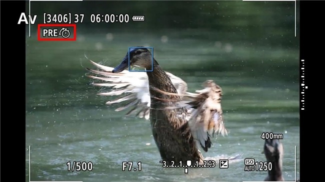 更顺手 更可靠 佳能EOS R1 Ver1.1.2固件体验评测