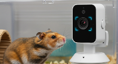 宠智灵AI硬件模组赋能摄像头，打造全场景异宠管理方案