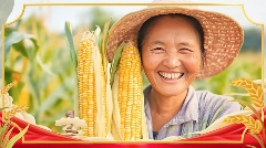 科技赋能农业 打造丰收节品牌新范式