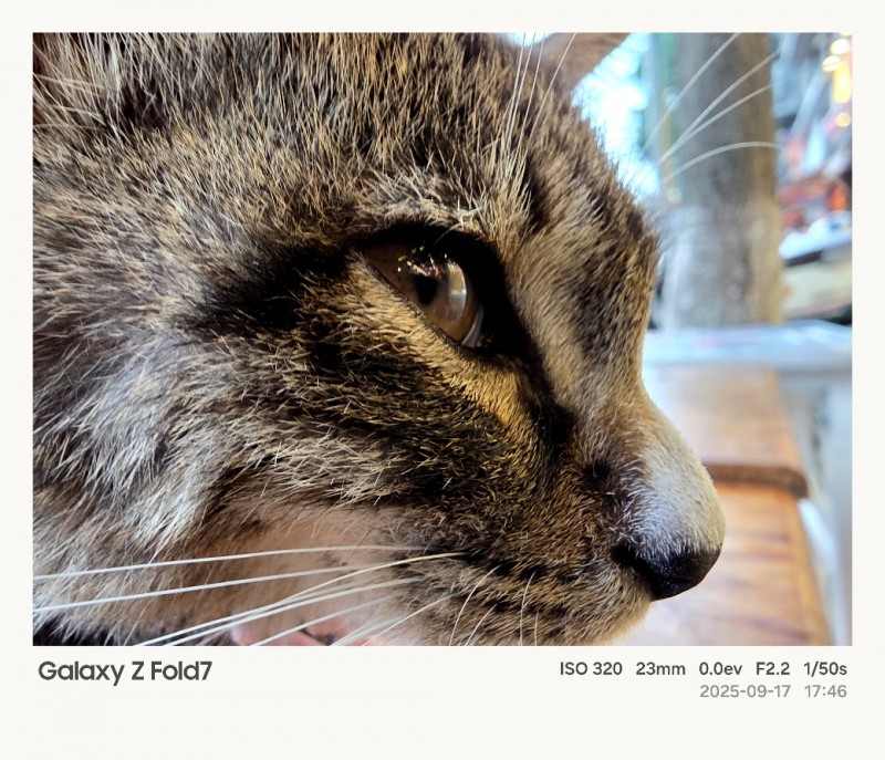 折叠屏手机拍摄功能拓展 影像体验新高度