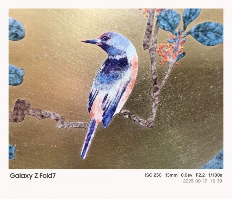 折叠屏手机拍摄功能拓展 影像体验新高度