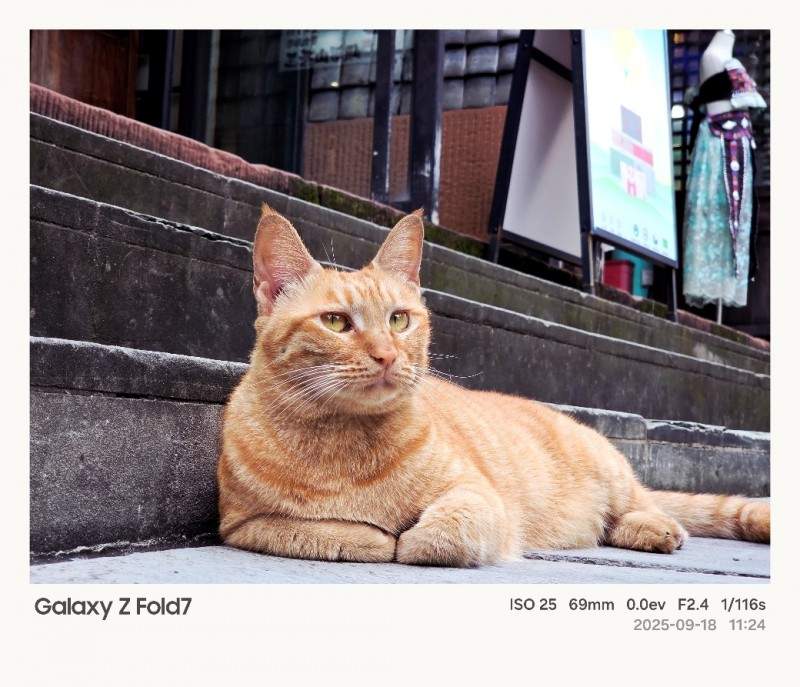 折叠屏手机拍摄功能拓展 影像体验新高度