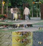 慢生活“轻出行”兴起：绿源携手《向往的生活》解锁“治愈系”骑行场景