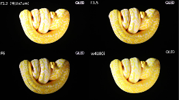 从参数质疑到实测封神！当贝S7 UltraMax 颠覆万元家庭影院投影仪格局