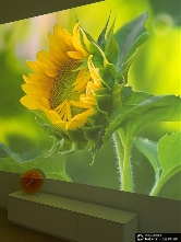 从参数质疑到实测封神！当贝S7 UltraMax 颠覆万元家庭影院投影仪格局