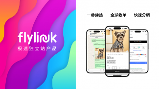 FlyLink 以创新商业模式入选世界互联网大会跨境电商实践案例集