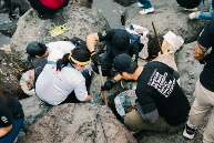 德国卡赫积极参与“世界清洁日”活动，以实际行动奏响环保最强音