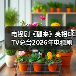 抗日谍战传奇《醒来》揭秘家国情怀