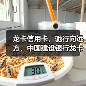 广州车展信用卡互动体验创新
