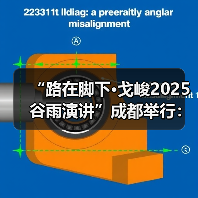 民企突围之道:戈峻谷雨演讲聚焦成长路径 民企突围之道:戈峻谷雨演讲聚焦成长路径
