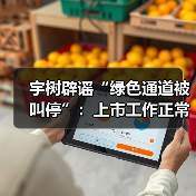 宇树科技否认绿色通道被叫停 上市进程正常推进 宇树科技否认绿色通道被叫停 上市进程正常推进