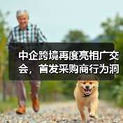 数字营销助力企业出海,广交会搭建贸易桥梁 数字营销助力企业出海,广交会搭建贸易桥梁