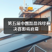 上海甜品赛聚焦技艺与创新 全国高手角逐国际舞台 上海甜品赛聚焦技艺与创新 全国高手角逐国际舞台
