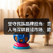 贵人鸟战略升级打造运动健康生态体系