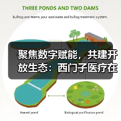 医疗AI全链路布局,驱动智慧医疗创新 医疗AI全链路布局,驱动智慧医疗创新