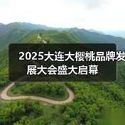 大连大樱桃品牌升级赋能产业高质量发展 大连大樱桃品牌升级赋能产业高质量发展