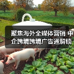 聚焦海外全媒体营销 中企跨境跨境广告通解锁出海广告营销新玩法 聚焦海外全媒体营销 中企跨境跨境广告通解锁出海广告营销新玩法