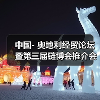 中国- 奥地利经贸论坛暨第三届链博会推介会在维也纳举行 中国- 奥地利经贸论坛暨第三届链博会推介会在维也纳举行