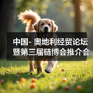 中国- 奥地利经贸论坛暨第三届链博会推介会在维也纳举行 中国- 奥地利经贸论坛暨第三届链博会推介会在维也纳举行
