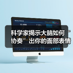 科学家揭示大脑如何“协奏”出你的面部表情 科学家揭示大脑如何“协奏”出你的面部表情