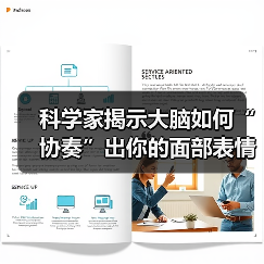 科学家揭示大脑如何“协奏”出你的面部表情