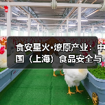 食品安全与产业发展大会聚焦科技创新与品牌管理