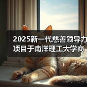 新一代慈善领导力项目升级 全球青少年领导力培养 新一代慈善领导力项目升级 全球青少年领导力培养