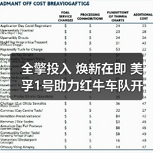 美孚1号助力红牛车队技术升级 开启2025F1征程 美孚1号助力红牛车队技术升级 开启2025F1征程