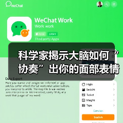面部表情全脑协作机制研究揭示神经网络时间层级 面部表情全脑协作机制研究揭示神经网络时间层级