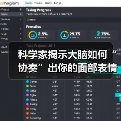 面部表情全脑协作机制研究揭示神经网络时间层级 面部表情全脑协作机制研究揭示神经网络时间层级