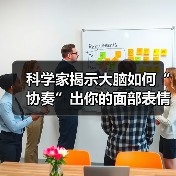 面部表情全脑协作机制研究揭示神经网络时间层级 面部表情全脑协作机制研究揭示神经网络时间层级