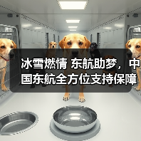 冰雪燃情 东航助梦,中国东航全方位支持保障第九届亚冬会 冰雪燃情 东航助梦,中国东航全方位支持保障第九届亚冬会