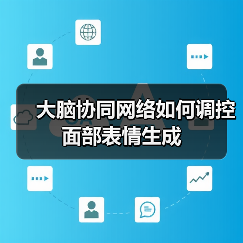 面部表情全脑协同新发现:动态与稳定神经编码机制解析 面部表情全脑协同新发现:动态与稳定神经编码机制解析