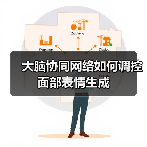 面部表情全脑协同新发现:动态与稳定神经编码机制解析 面部表情全脑协同新发现:动态与稳定神经编码机制解析