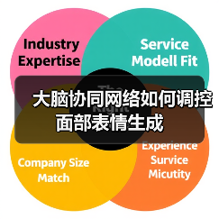 面部表情全脑协同新发现:动态与稳定神经编码机制解析 面部表情全脑协同新发现:动态与稳定神经编码机制解析