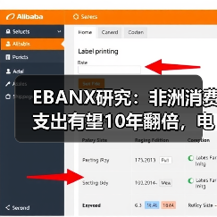 EBANX研究：非洲消费支出有望10年翻倍，电商成主要驱动力