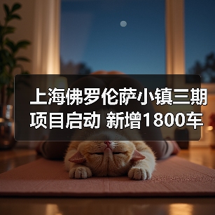 上海佛罗伦萨小镇三期项目启动 新增1800车位提升购物体验 上海佛罗伦萨小镇三期项目启动 新增1800车位提升购物体验