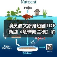 淮文如何从长剧走向短剧TOP？中年霸总人设引爆短视频平台-智穹界讯聚闻网