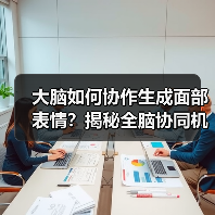 大脑如何协同创造表情?揭秘面部动作的神经网络协作机制-智穹界讯聚闻网 大脑如何协同创造表情?揭秘面部动作的神经网络协作机制-智穹界讯聚闻网