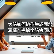 大脑如何协同创造表情?揭秘面部动作的神经网络协作机制-智穹界讯聚闻网 大脑如何协同创造表情?揭秘面部动作的神经网络协作机制-智穹界讯聚闻网