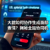 大脑如何协同创造表情?揭秘面部动作的神经网络协作机制-智穹界讯聚闻网 大脑如何协同创造表情?揭秘面部动作的神经网络协作机制-智穹界讯聚闻网