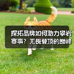 探拓品牌如何助力攀岩赛事?无畏登顶的巅峰时刻全解析 探拓品牌如何助力攀岩赛事?无畏登顶的巅峰时刻全解析