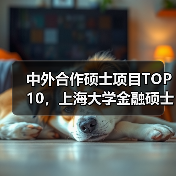 中外合作硕士项目TOP10，上海大学金融硕士为何入选？
