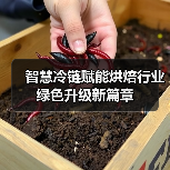 智慧冷链赋能烘焙行业绿色升级新篇章 智慧冷链赋能烘焙行业绿色升级新篇章