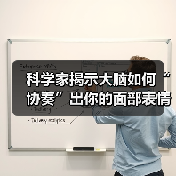 科学家揭示大脑如何“协奏”出你的面部表情 科学家揭示大脑如何“协奏”出你的面部表情