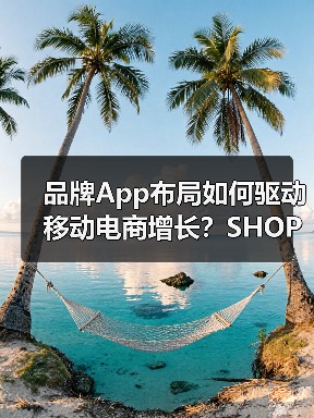 品牌App布局如何驱动移动电商增长？SHOPLINE全攻略