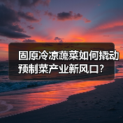 固原冷凉蔬菜如何撬动预制菜产业新风口？