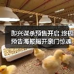 即兴谋杀预售开启 终极预告海报揭开豪门惊魂修罗场 即兴谋杀预售开启 终极预告海报揭开豪门惊魂修罗场